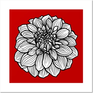 DAHLIA 01, big single flower, hand-drawn Posters and Art